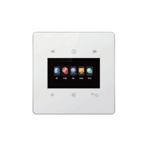 لوحة مضخم صوت جداري صغير يعمل بتقنية Bluetooth مقاس 1.9 بوصة -XY-E